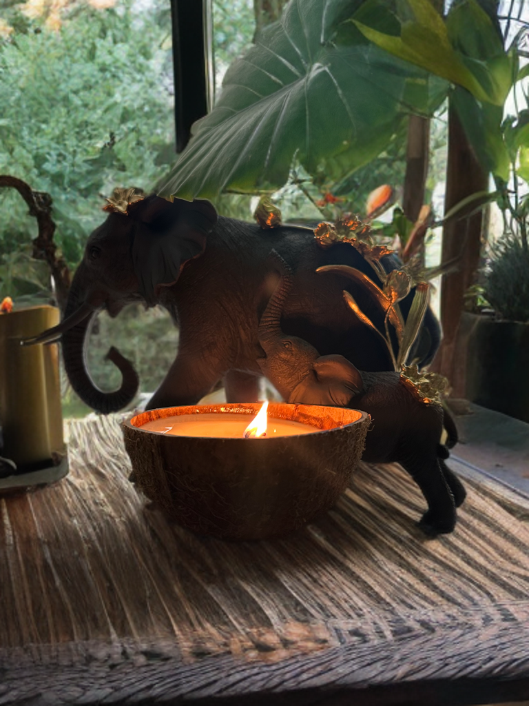 Peek-a-Boo Sand-Bank Coconut Shell Candle