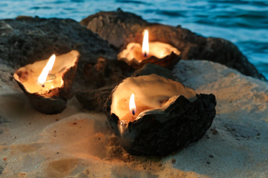 Sand-Bank Oyster Candle