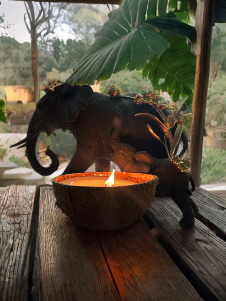 Peek-a-Boo Sand-Bank Coconut Shell Candle