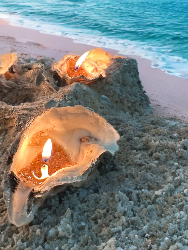 Sand-Bank Oyster Candle